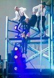 1_281329.jpg