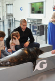 Georgia_Aquarium_-_Sep_2012.jpg