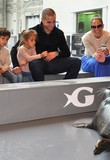 Georgia_Aquarium_-_Sep_2012~0.jpg