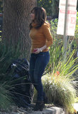 jlo_8463_281629.jpg