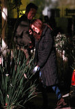 jlo_set567_281429.jpg